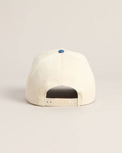 Need Money For The Rodeo Trucker Hat